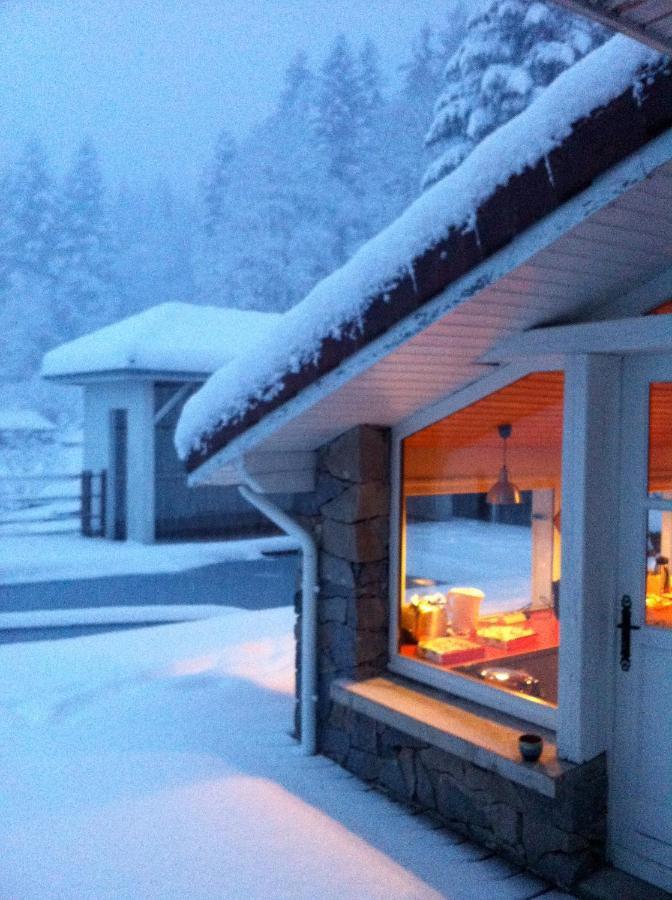 Le Chalet Blanc - Jacuzzi / Piscine / Sauna Gérardmer Eksteriør billede
